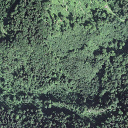 Satellite imagery of Haslerenegg, CH