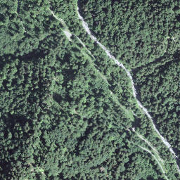 Satellite imagery of Haslerenegg, CH