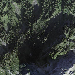 Satellite imagery of Läsisteck, CH