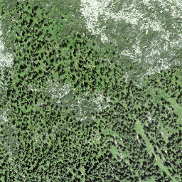 Satellite imagery of Schilt, CH