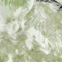 Satellite imagery of Schwarzhorn, CH