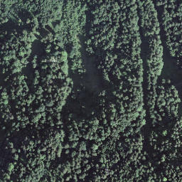 Satellite imagery of Haslerenegg, CH