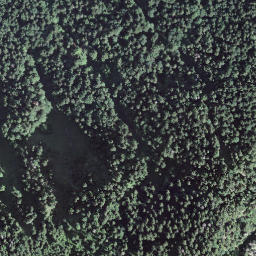 Satellite imagery of Haslerenegg, CH