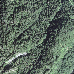 Satellite imagery of Haslerenegg, CH