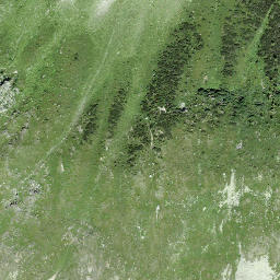 Satellite imagery of Munt da Brail, CH