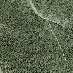 Satellite imagery of Muottas Champlönch, CH