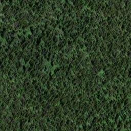 Satellite imagery of Deer Ridge, US