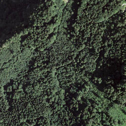 Satellite imagery of Grosse Ruuge, CH
