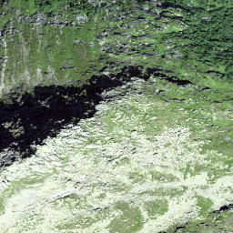 Satellite imagery of Gandschijen, CH