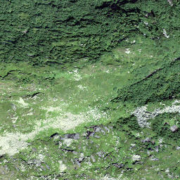 Satellite imagery of Gandschijen, CH