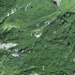 Satellite imagery of Gandschijen, CH