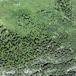 Satellite imagery of Hochegg, CH