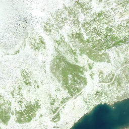 Satellite imagery of Gross Schijen, CH