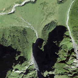 Satellite imagery of Planezzas, CH