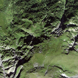 Satellite imagery of Planezzas, CH