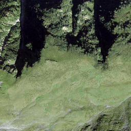 Satellite imagery of Planezzas, CH