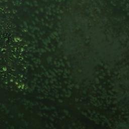 Satellite imagery of Zwölfihorn, CH