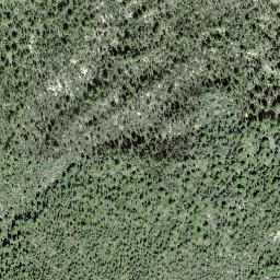 Satellite imagery of Muottas Champlönch, CH