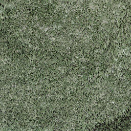 Satellite imagery of Margunet, CH