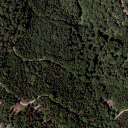 Satellite imagery of Weißenegger Berg, AT