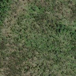 Satellite imagery of Deer Ridge, US