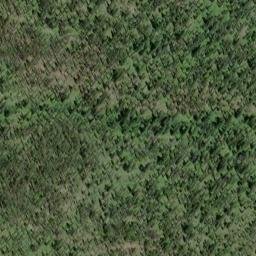 Satellite imagery of Deer Ridge, US