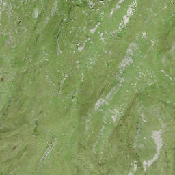 Satellite imagery of Schoneggen, CH