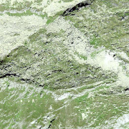 Satellite imagery of Gandschijen, CH
