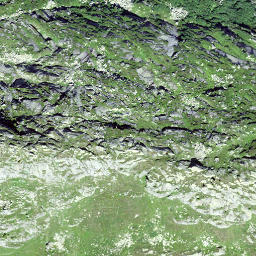 Satellite imagery of Gandschijen, CH