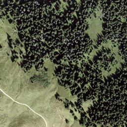 Satellite imagery of Tegia Nova, CH