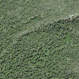 Satellite imagery of Muottas Champlönch, CH