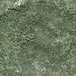 Satellite imagery of Muottas Champlönch, CH