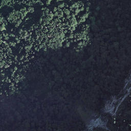 Satellite imagery of Birchizand, CH