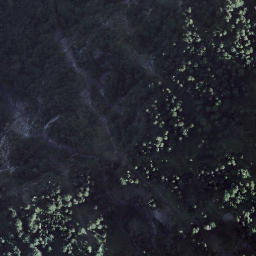 Satellite imagery of Birchizand, CH