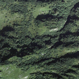 Satellite imagery of Birglistock, CH