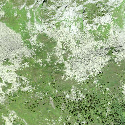 Satellite imagery of Gandschijen, CH