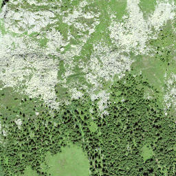 Satellite imagery of Gandschijen, CH