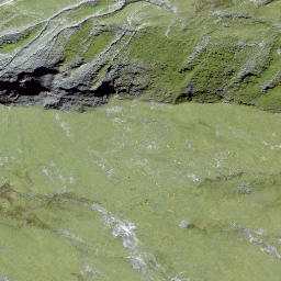 Satellite imagery of Piz da Vrin, CH