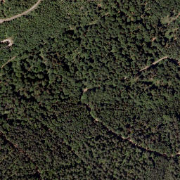 Satellite imagery of Weißenegger Berg, AT