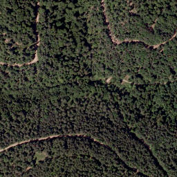 Satellite imagery of Weißenegger Berg, AT