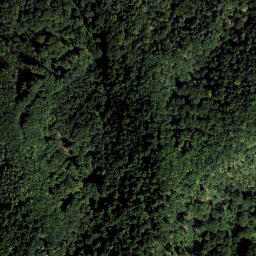Satellite imagery of Montikogel, AT