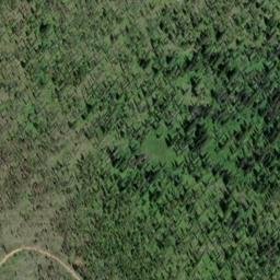 Satellite imagery of Toboggan Ridge, US