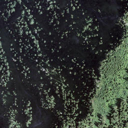 Satellite imagery of Birchizand, CH