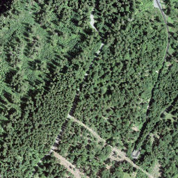 Satellite imagery of Birchizand, CH