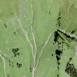 Satellite imagery of Burg, CH