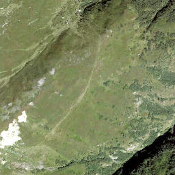 Satellite imagery of Tegia Nova, CH