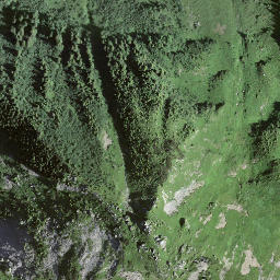 Satellite imagery of Niesen, CH