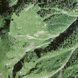 Satellite imagery of Niesen, CH
