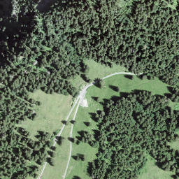 Satellite imagery of Birchizand, CH