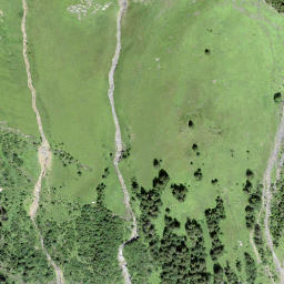 Satellite imagery of Burg, CH